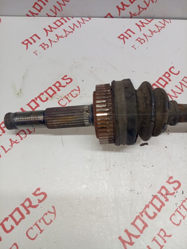 Привод, 2500 рублей, Владимир