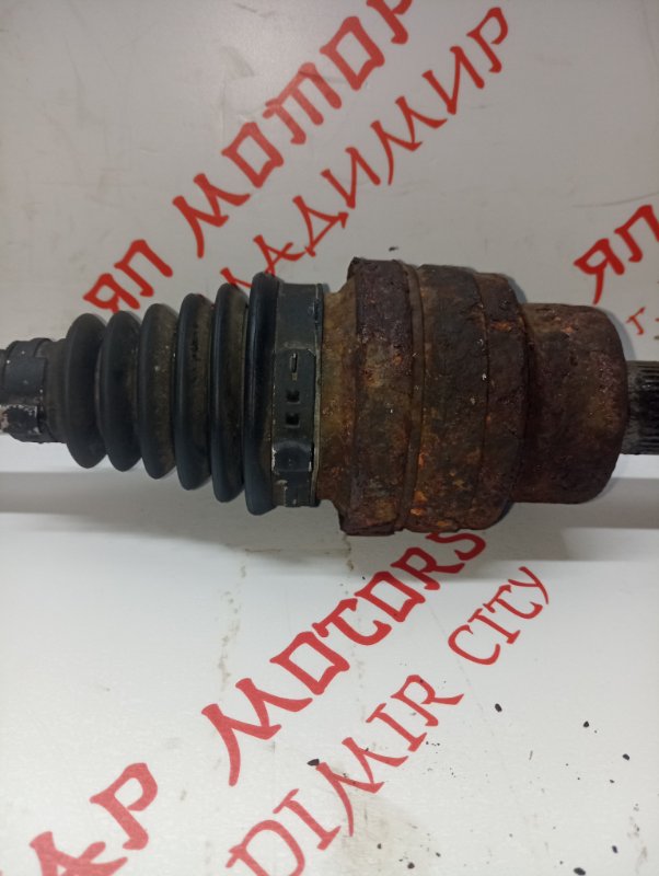 Привод, 3000 рублей, Владимир