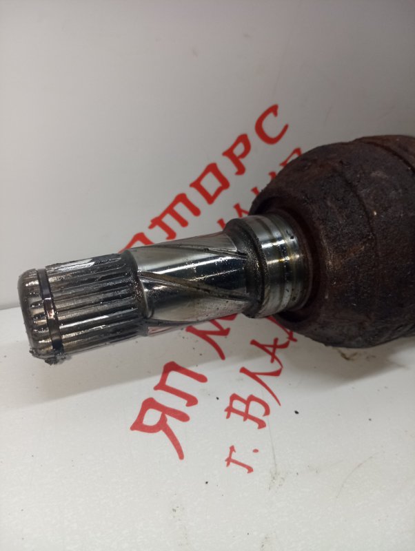 Привод, 3000 рублей, Владимир