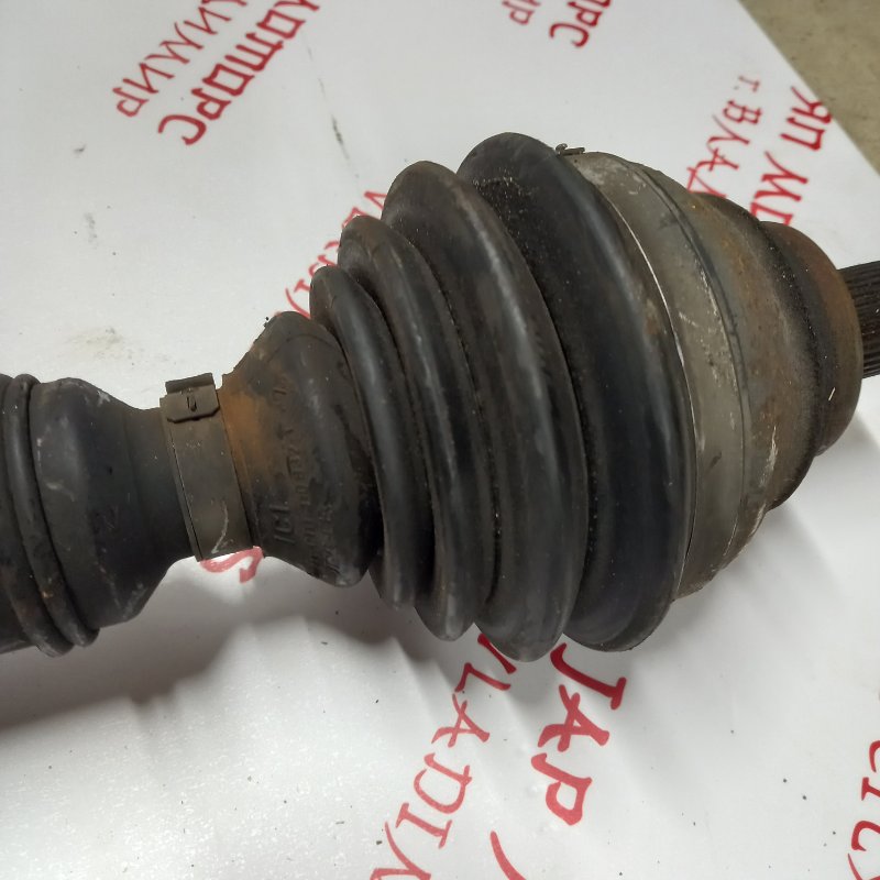 Привод, 3000 рублей, Владимир