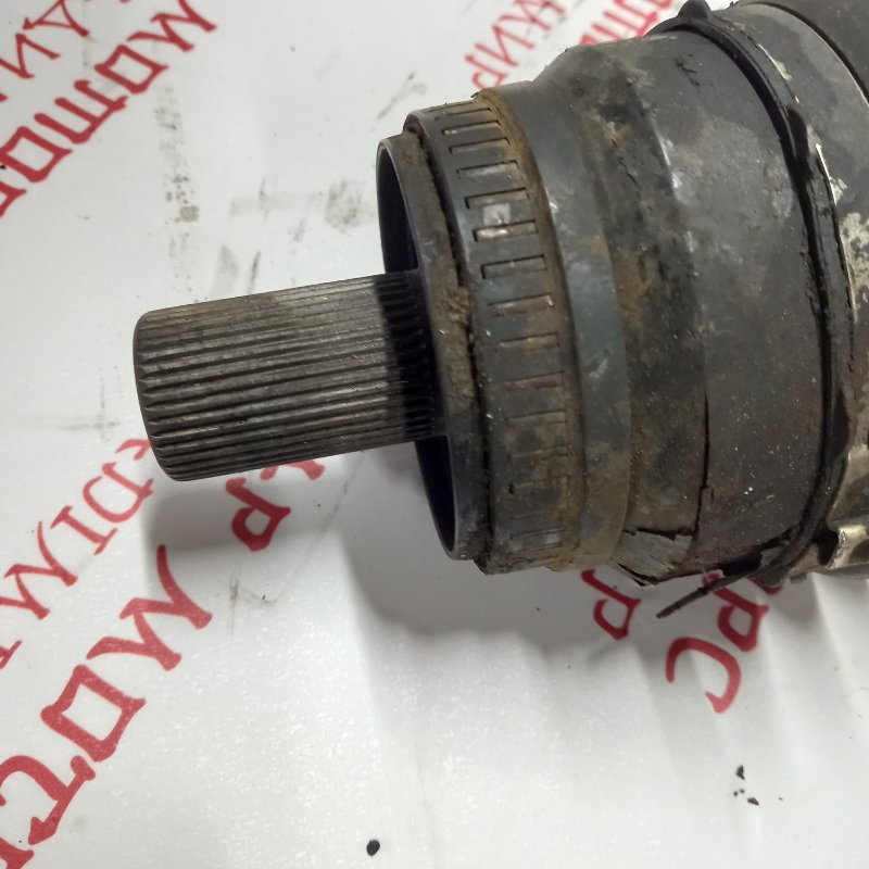 Привод, 7000 рублей, Владимир