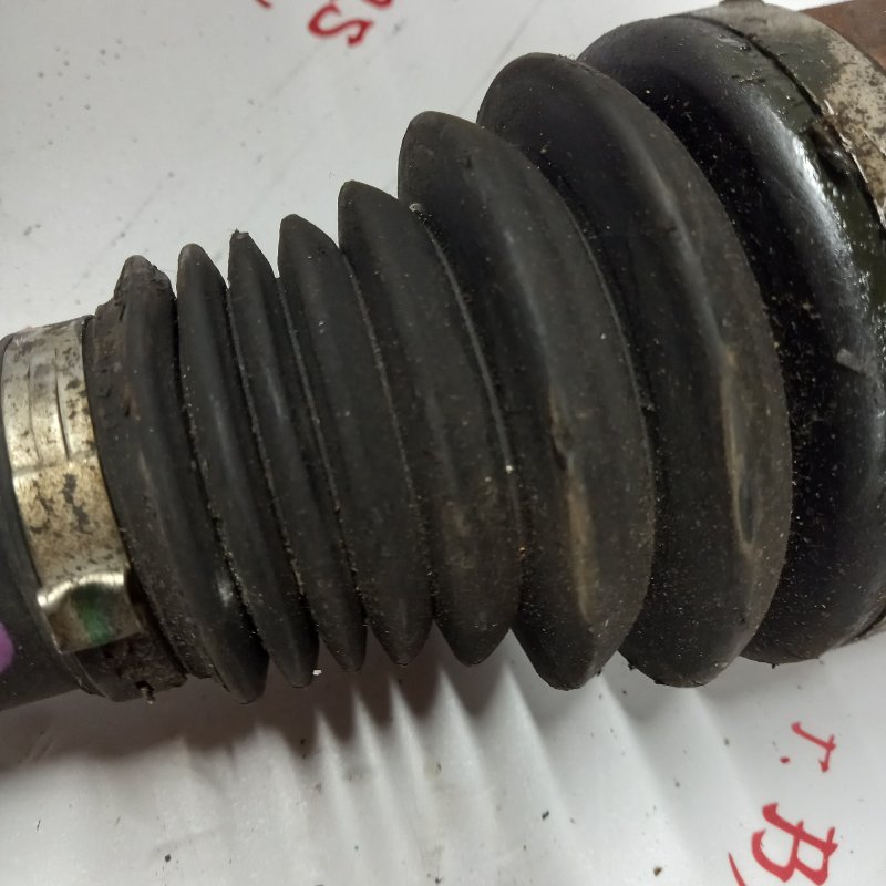 Привод, 7000 рублей, Владимир