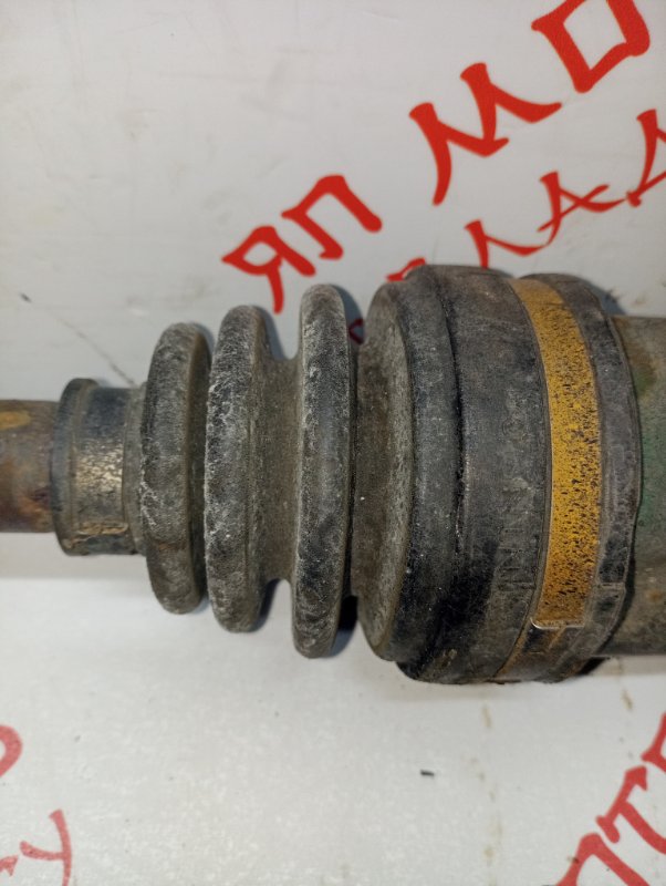 Привод, 5000 рублей, Владимир