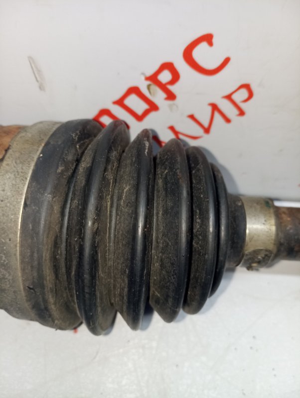 Привод, 5000 рублей, Владимир