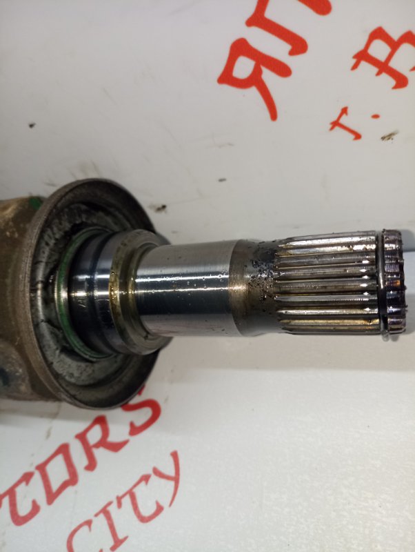 Привод, 5000 рублей, Владимир