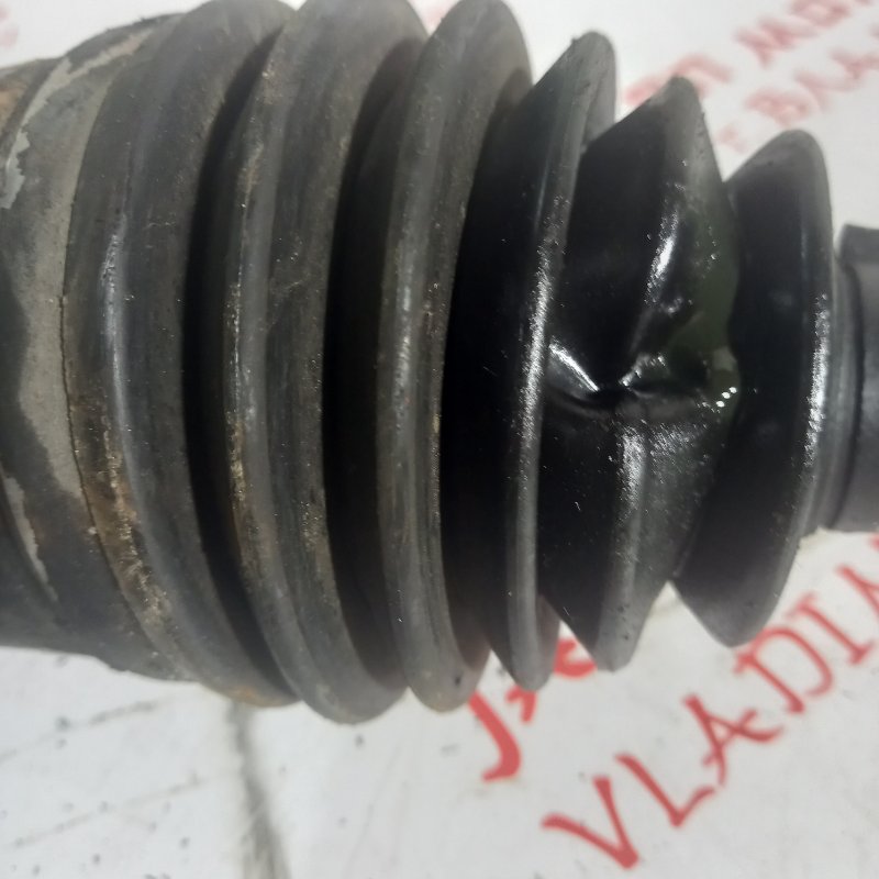 Привод, 8000 рублей, Владимир