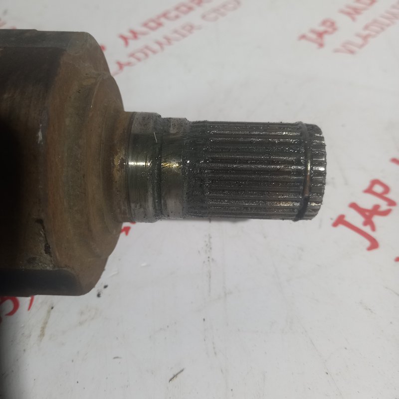 Привод, 8000 рублей, Владимир