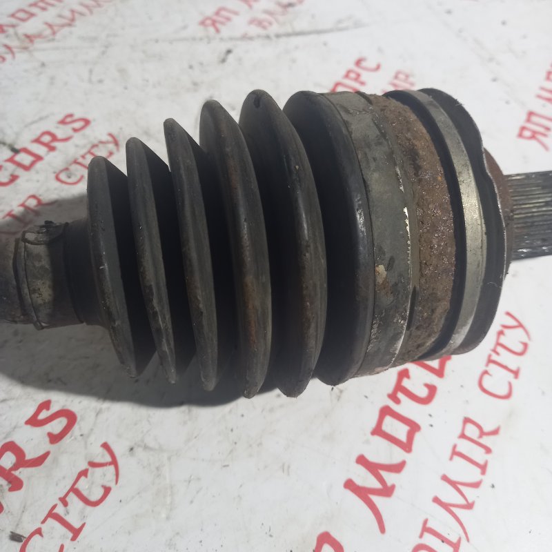 Привод, 4000 рублей, Владимир