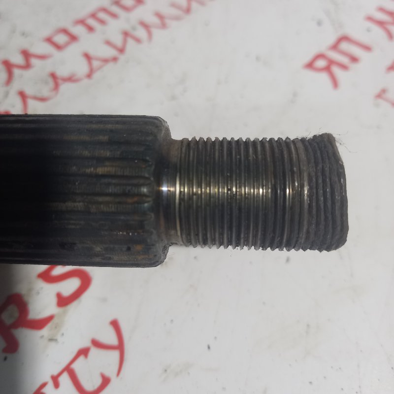 Привод, 4000 рублей, Владимир