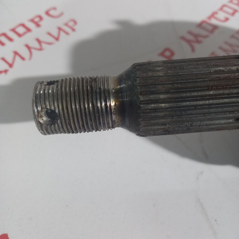 Привод, 7000 рублей, Владимир