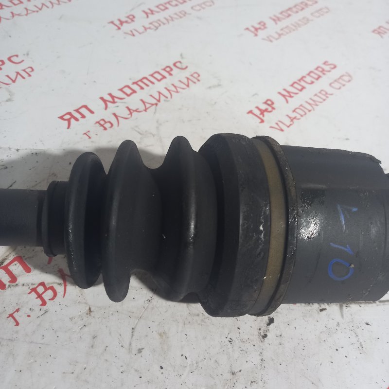 Привод, 7000 рублей, Владимир