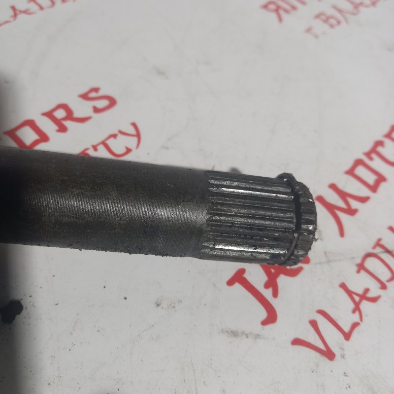 Привод, 7000 рублей, Владимир