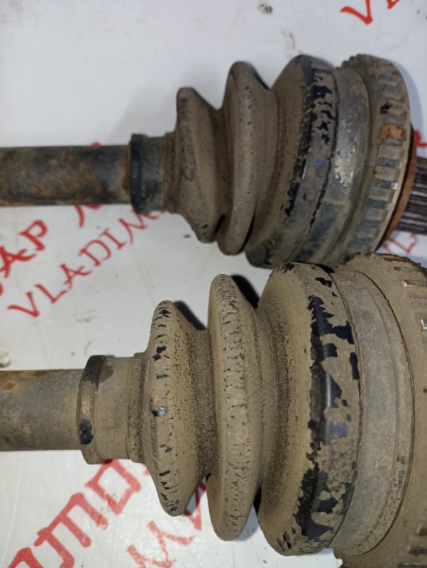 Привод, 2500 рублей, Владимир