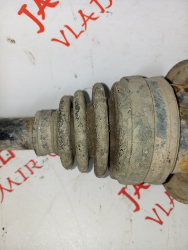 Привод, 4000 рублей, Владимир