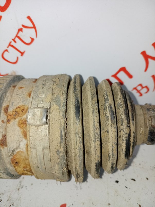 Привод, 4000 рублей, Владимир