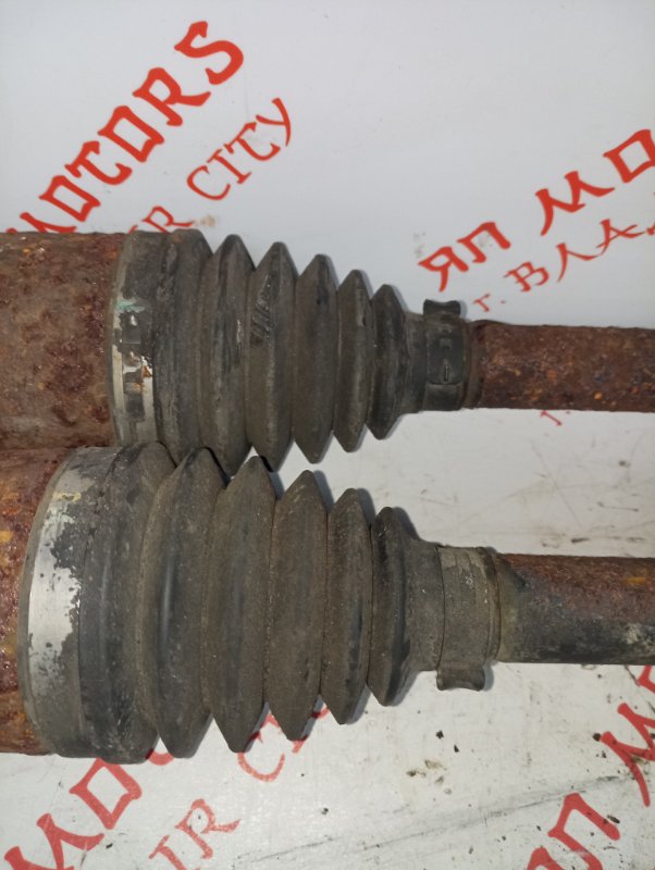 Привод, 3000 рублей, Владимир