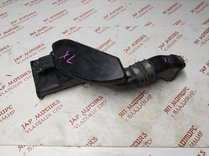 Воздухозаборник, 1000 рублей, Владимир