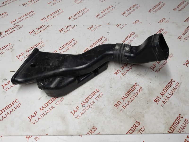 Воздухозаборник, 1000 рублей, Владимир