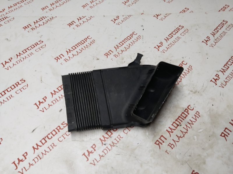 Воздухозаборник, 1000 рублей, Владимир