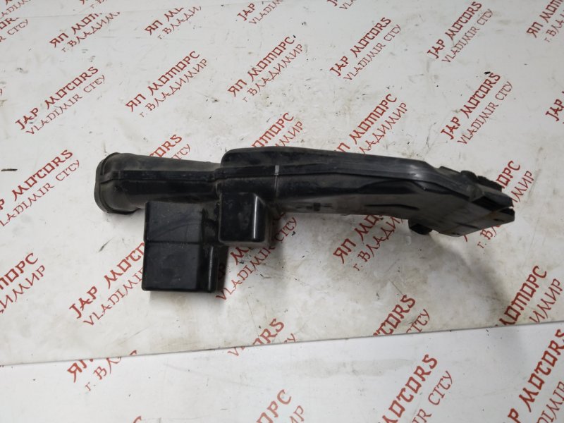 Воздухозаборник, 1000 рублей, Владимир