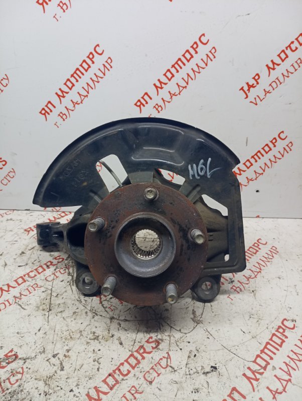 Кулак поворотный, 10000 рублей, Владимир