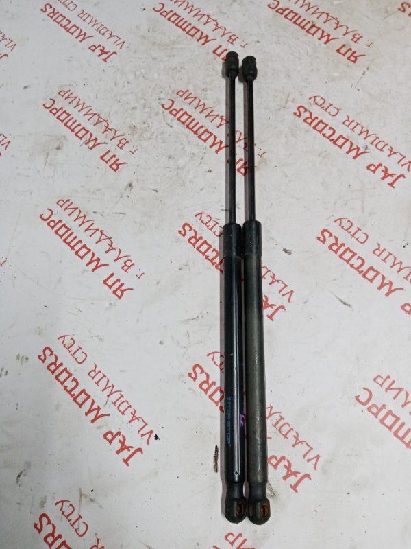 Упор капота, 1000 рублей, Владимир