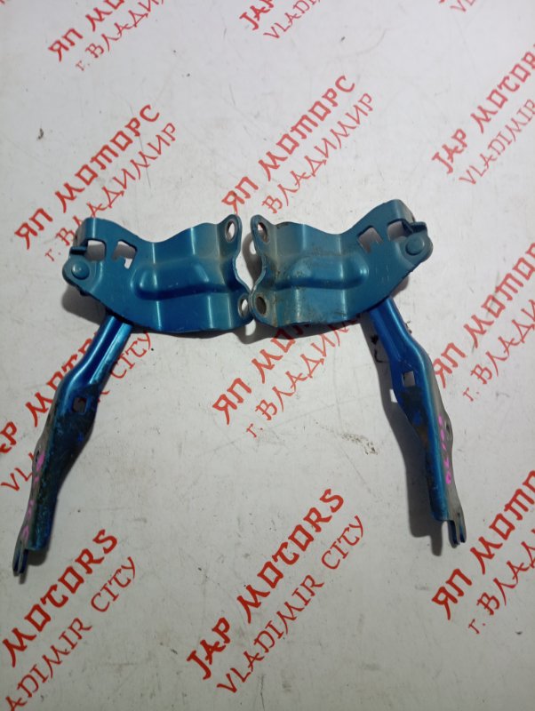 Петля капота, 1000 рублей, Владимир