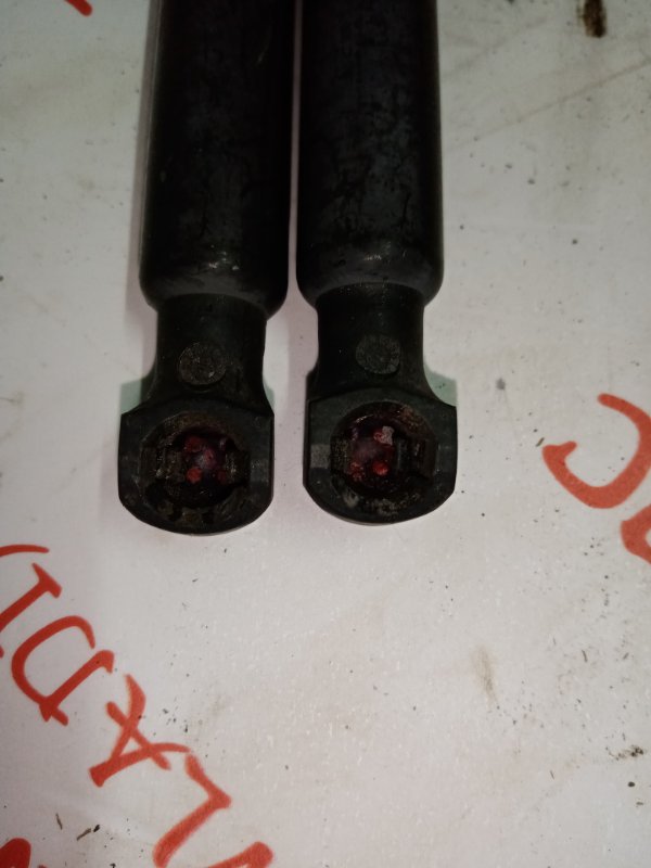 Упор капота, 2000 рублей, Владимир