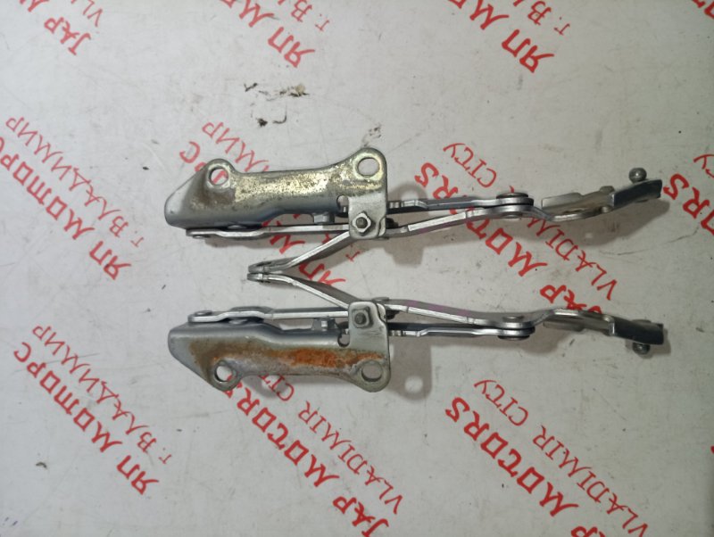 Петля крышки багажника, 1000 рублей, Владимир