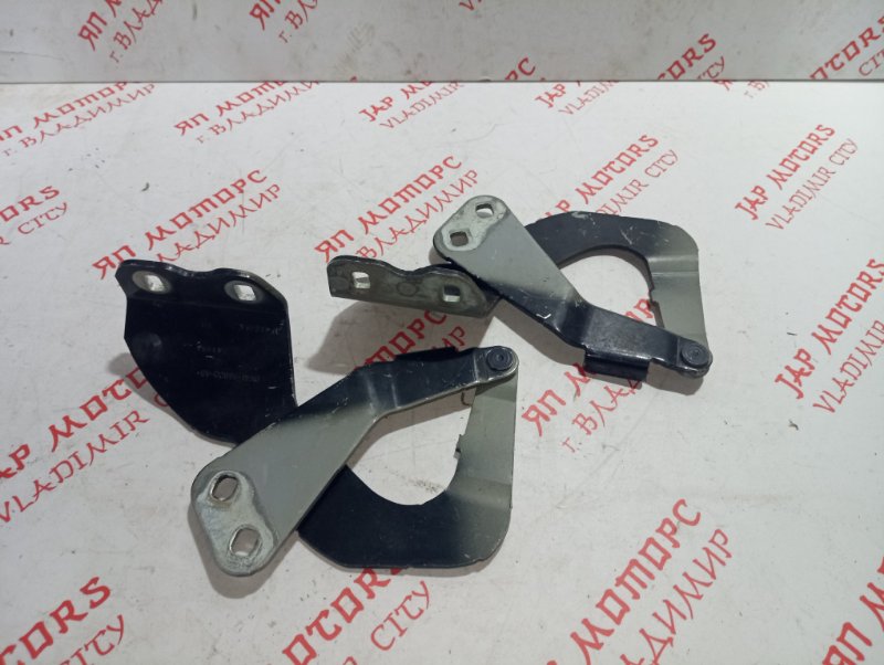 Петля капота, 1000 рублей, Владимир