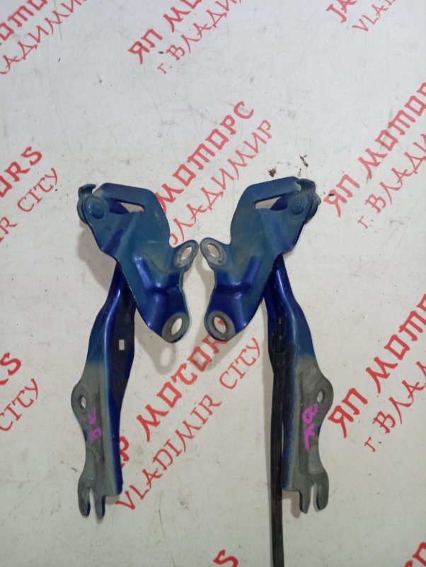 Петля капота, 1000 рублей, Владимир