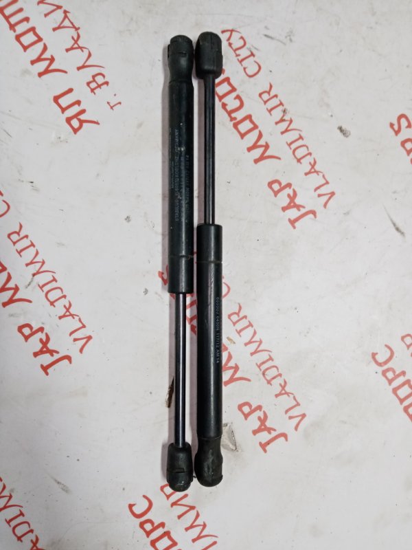 Упор капота, 2000 рублей, Владимир