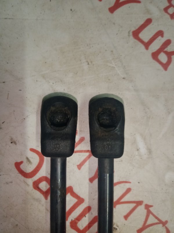 Упор капота, 2000 рублей, Владимир