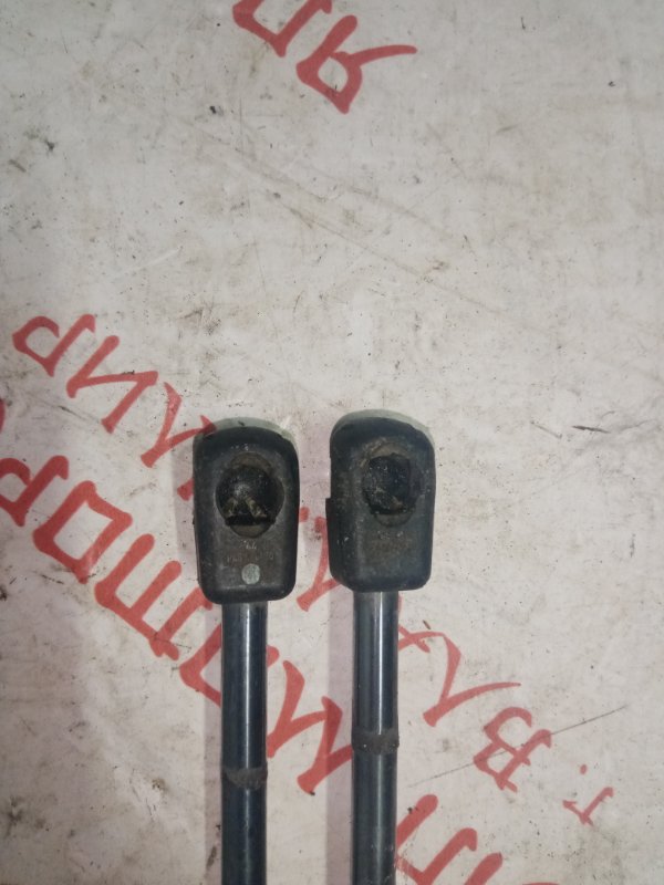 Упор капота, 1000 рублей, Владимир