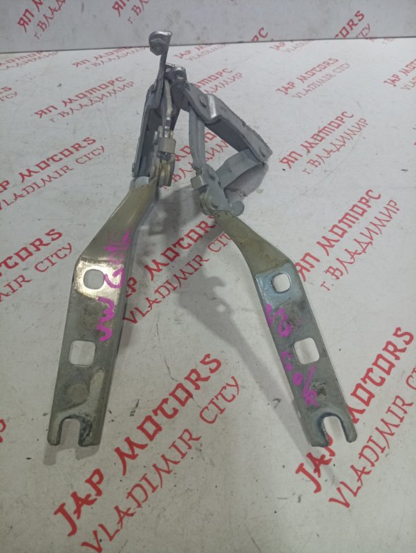 Петля капота, 1000 рублей, Владимир