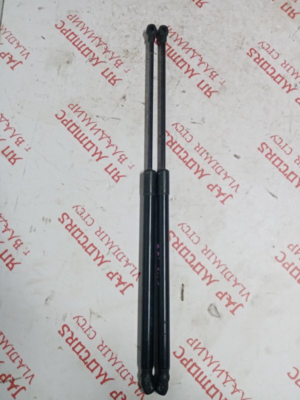 Упор капота, 2000 рублей, Владимир