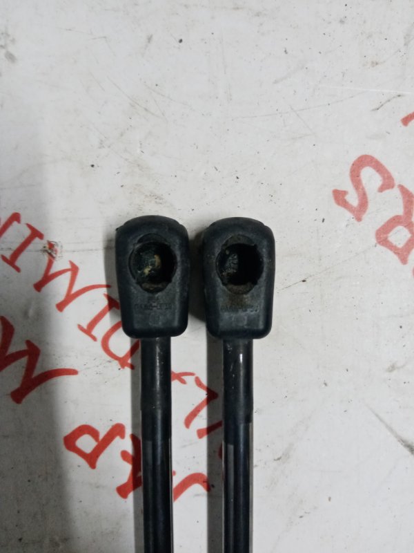 Упор капота, 1500 рублей, Владимир