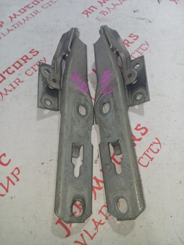 Петля капота, 1000 рублей, Владимир