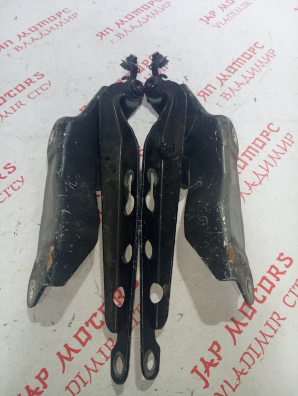 Петля капота, 1000 рублей, Владимир