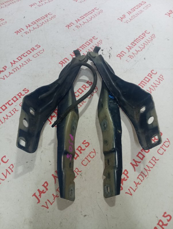 Петля капота, 1500 рублей, Владимир