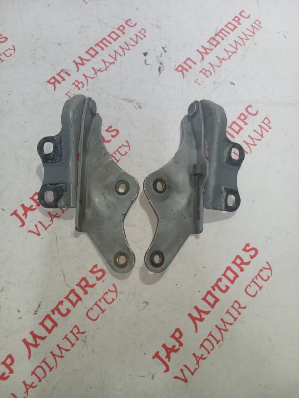 Петля капота, 1000 рублей, Владимир