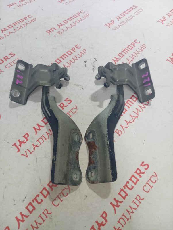 Петля капота, 1000 рублей, Владимир