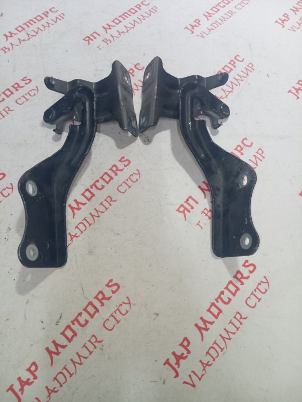 Петля капота, 1000 рублей, Владимир