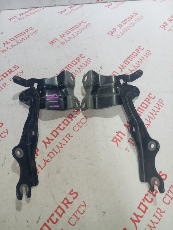 Петля капота, 1000 рублей, Владимир