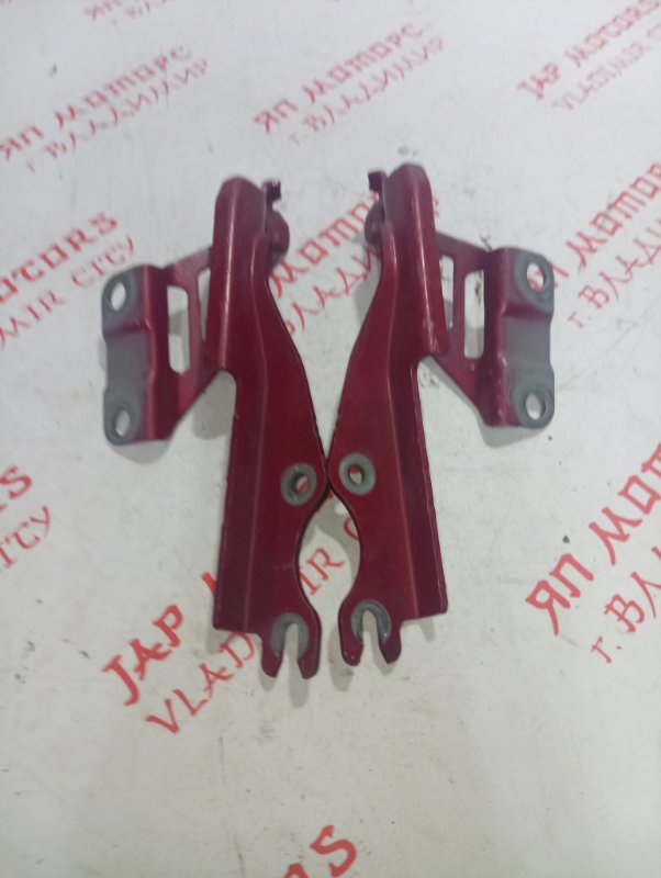 Петля капота, 2000 рублей, Владимир