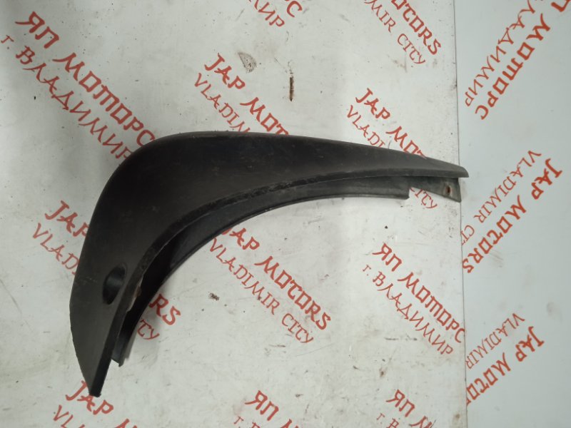 Брызговик, 1000 рублей, Владимир