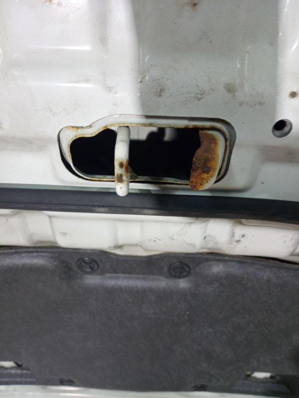 Капот, 15000 рублей, Владимир