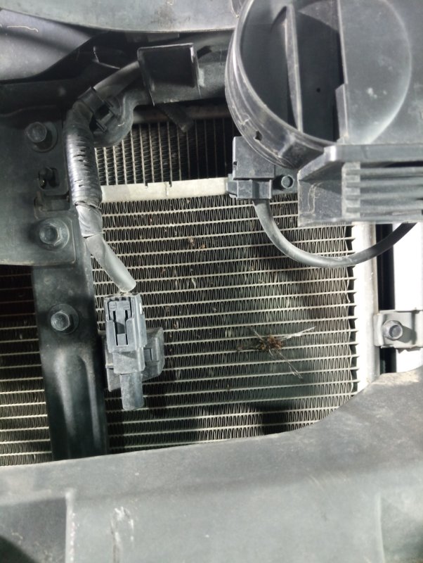 Радиатор охлаждения двигателя, 8000 рублей, Владимир