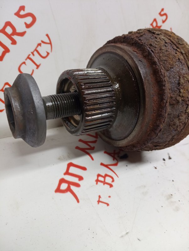 Привод, 5000 рублей, Владимир