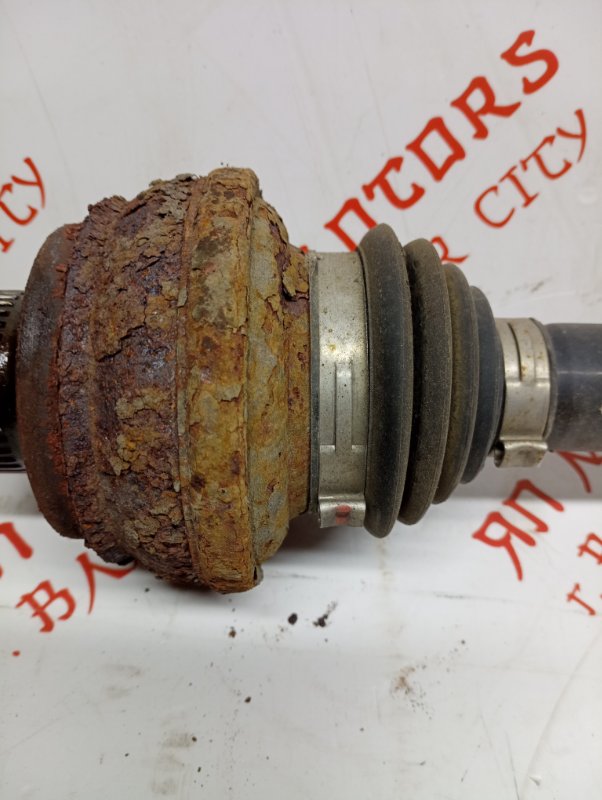 Привод, 5000 рублей, Владимир